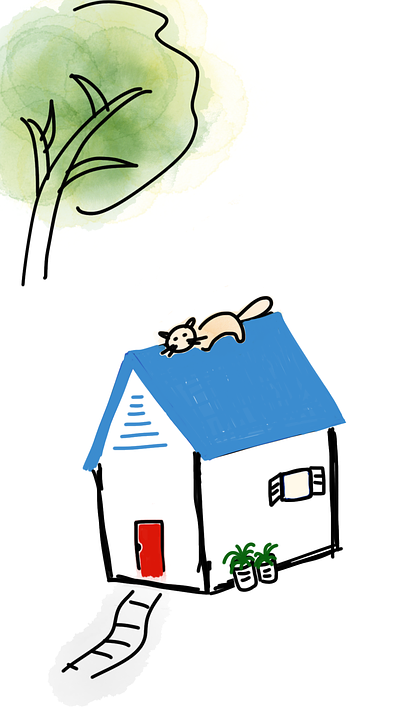 cat-on-roof-1379688_960_720
