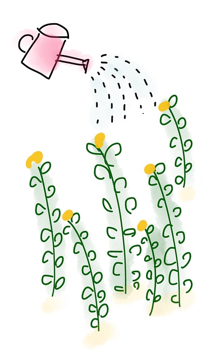flowers-1291770_960_720
